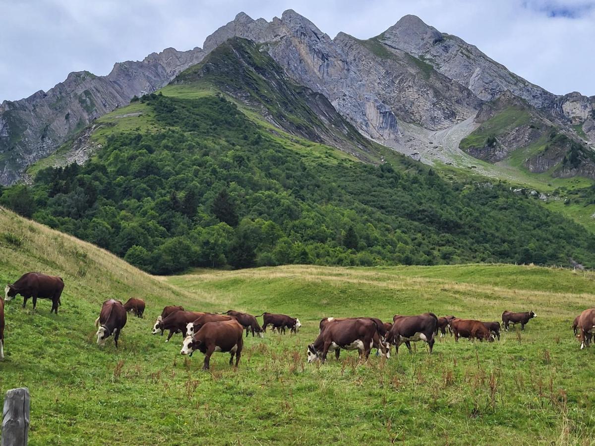 Вілла La Petite Anfiane Ле-Гран-Борнан Екстер'єр фото